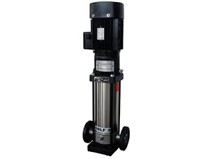 QDL/QDLF Type Light Stainless Steel Vertical Multistage Centrifugal Pump