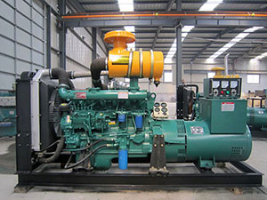 Shandong Huajia Mannheim Diesel Engine