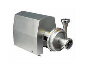 WSB Sanitary stainless steel pump